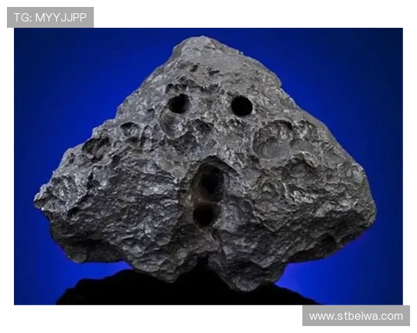 太空企业家突遭不幸身亡引发全球科技界关注与悼念